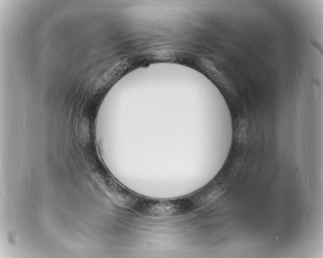 X0000101670213200807311504