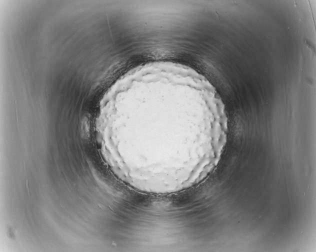 X0000101670214200807311504