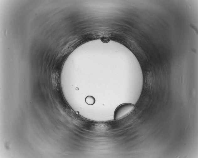 X0000101670218200807311504
