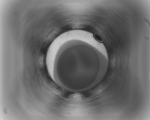 X0000101670219200807311504