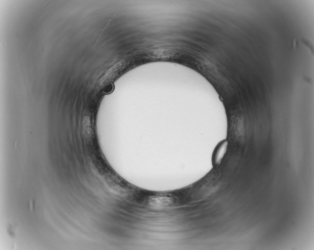 X0000101670220200807311504