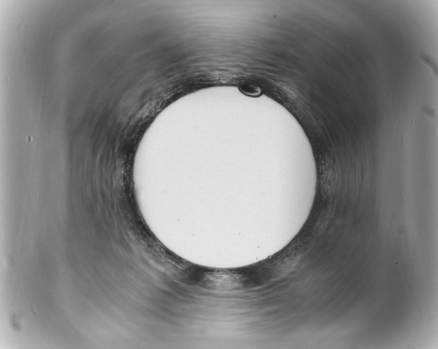 X0000101670221200807311504