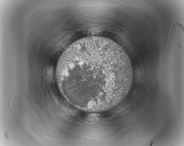 X0000101670222200807311504