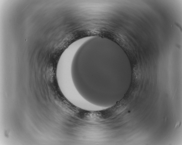 X0000101670223200807311504
