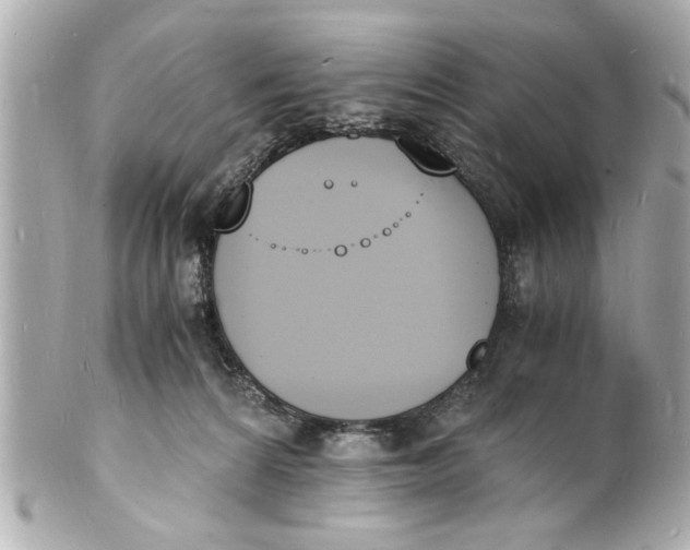 X0000101670224200807311504