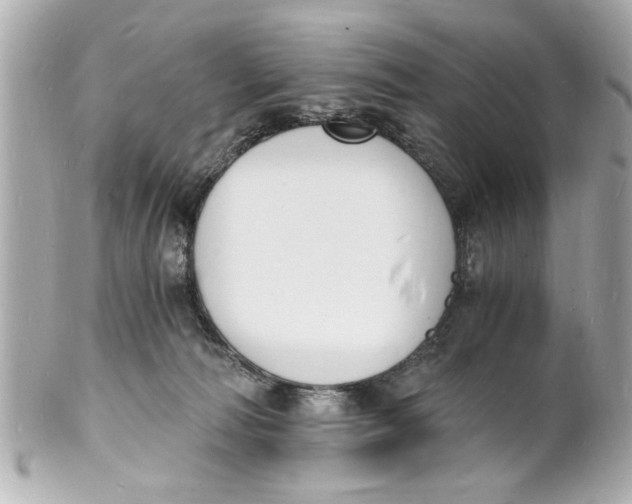 X0000101670226200807311504