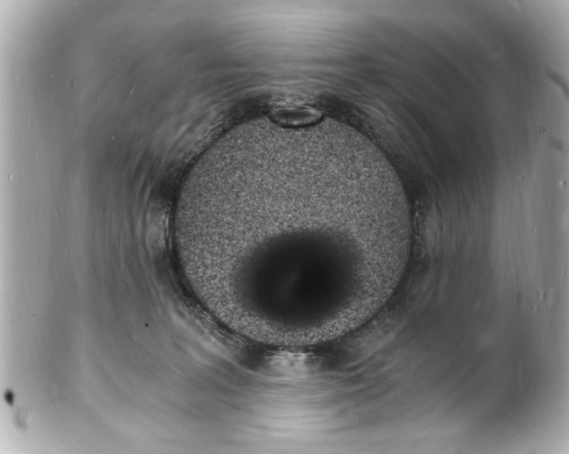 X0000101670227200807311504