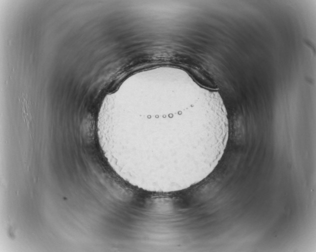 X0000101670228200807311504