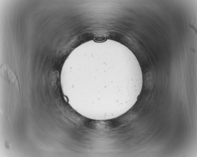 X0000101670229200807311504