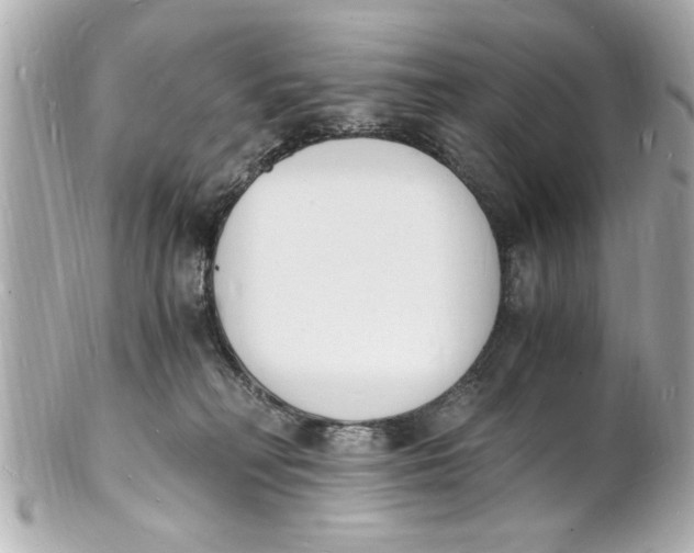 X0000101670230200807311504