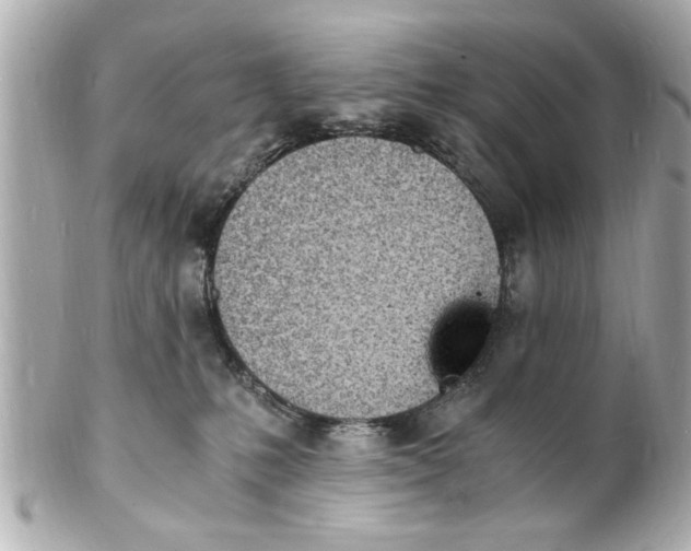 X0000101670231200807311504