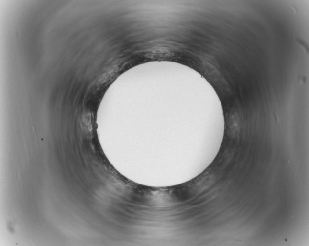 X0000101670232200807311504
