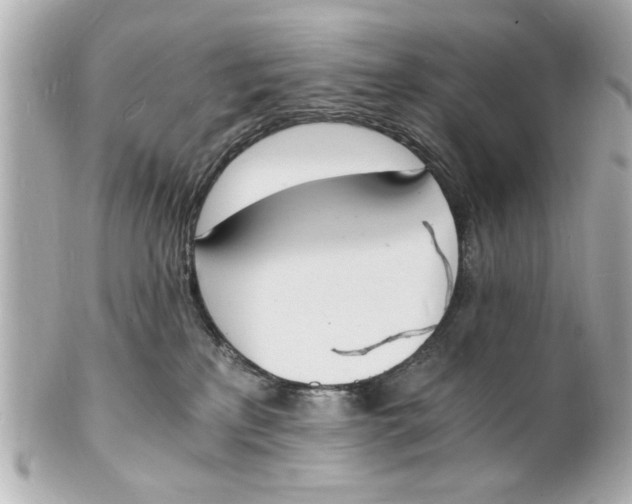 X0000101670233200807311504