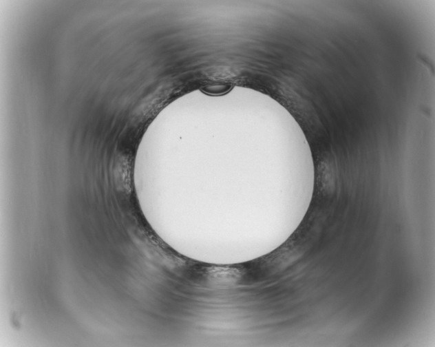 X0000101670234200807311504