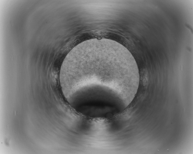 X0000101670235200807311504
