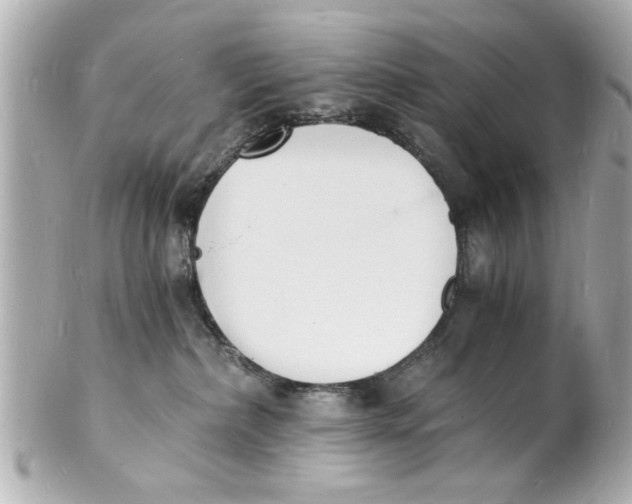 X0000101670236200807311504