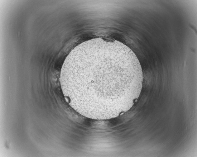 X0000101670237200807311504