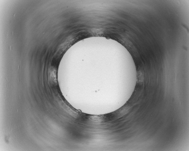 X0000101670238200807311504