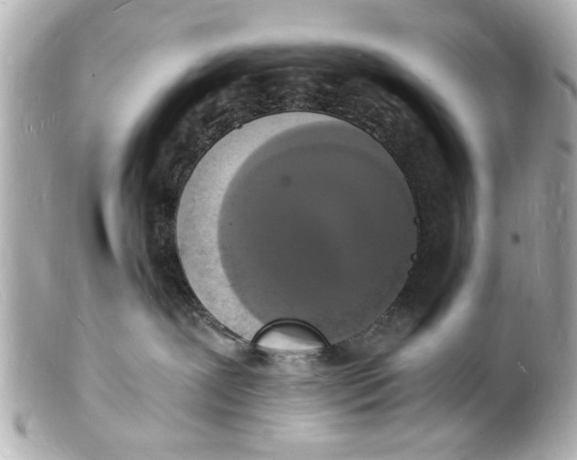 X0000101670239200807311504
