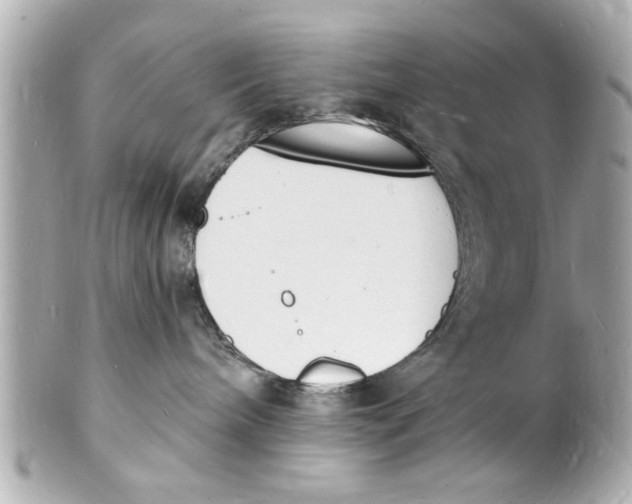 X0000101670240200807311504