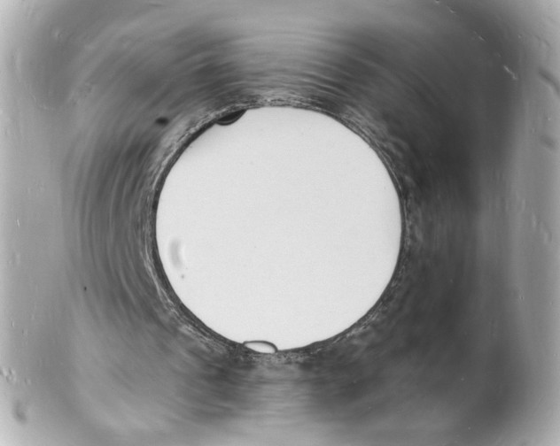 X0000101670241200807311503