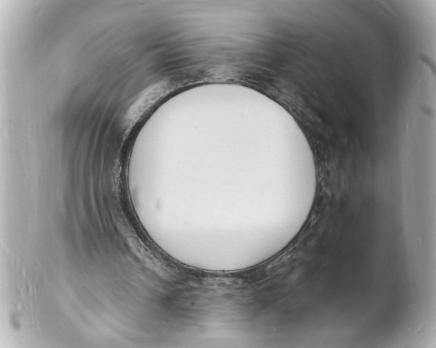 X0000101670242200807311503