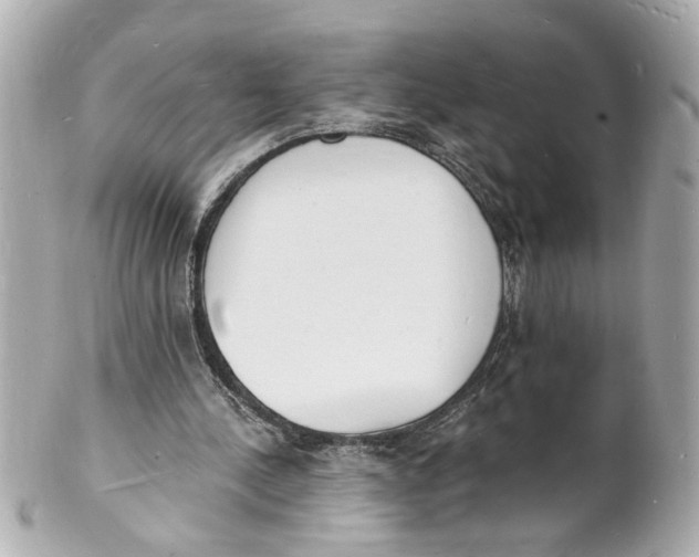 X0000101670244200807311503