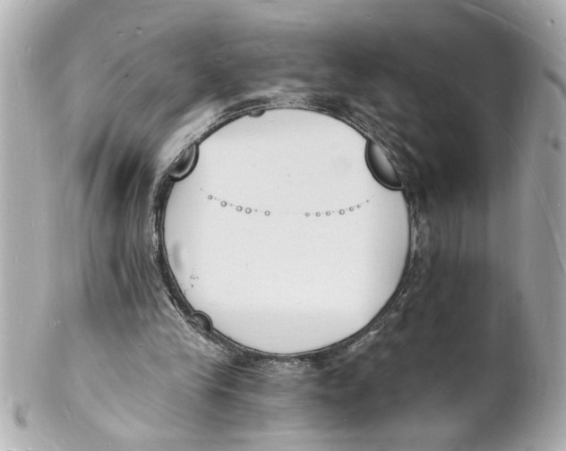 X0000101670245200807311503