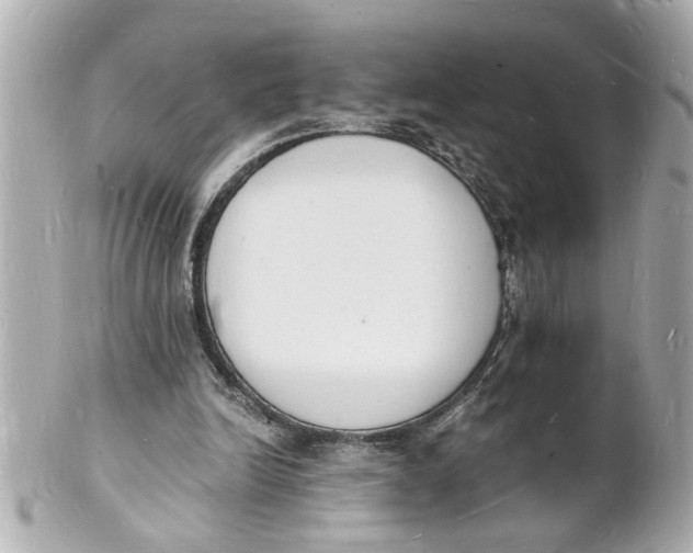 X0000101670246200807311503