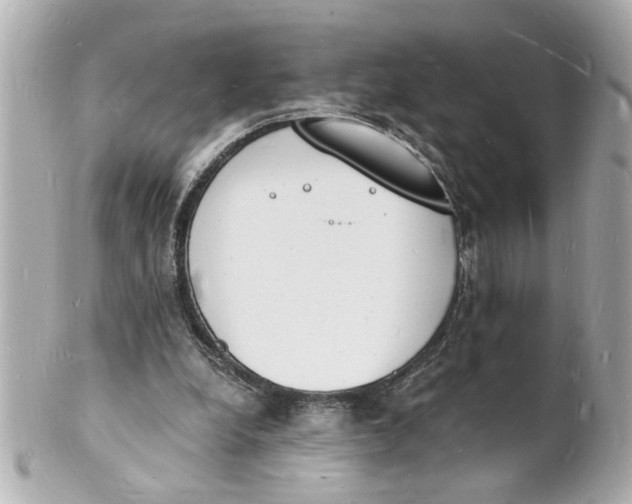 X0000101670248200807311503