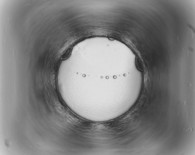 X0000101670249200807311503