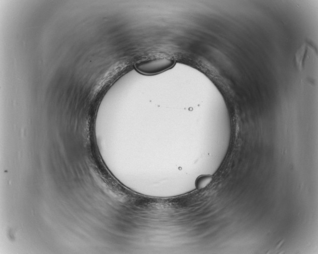 X0000101670250200807311503