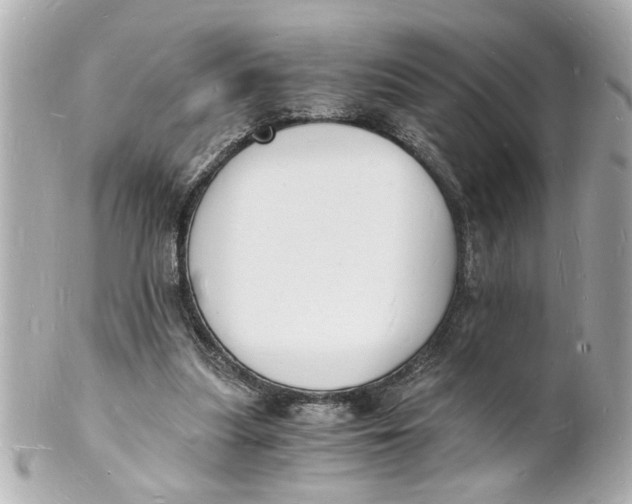 X0000101670251200807311503