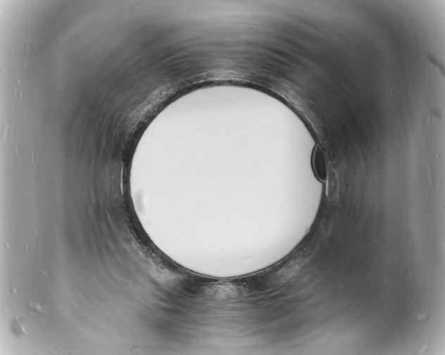 X0000101670253200807311503