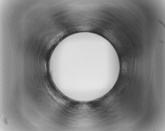X0000101670254200807311503
