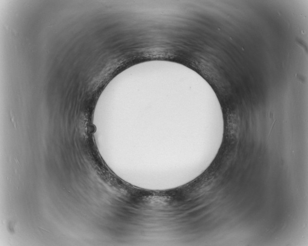 X0000101670255200807311503