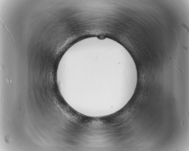 X0000101670256200807311503