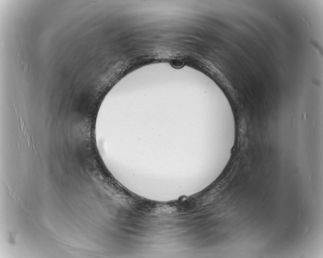 X0000101670257200807311503