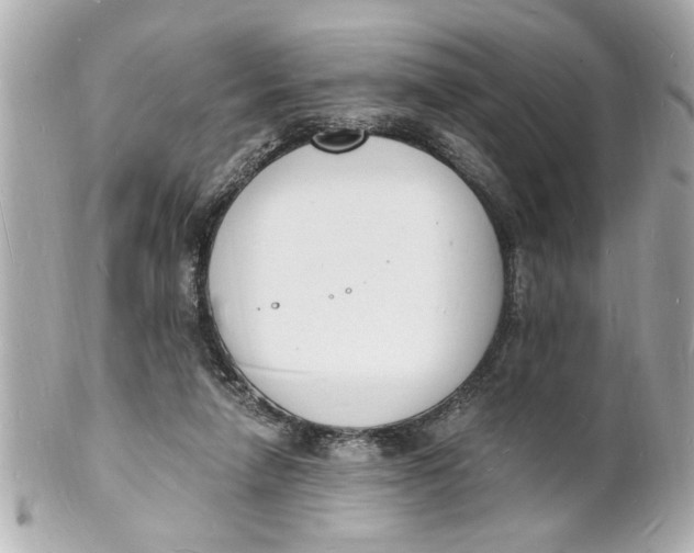 X0000101670258200807311503