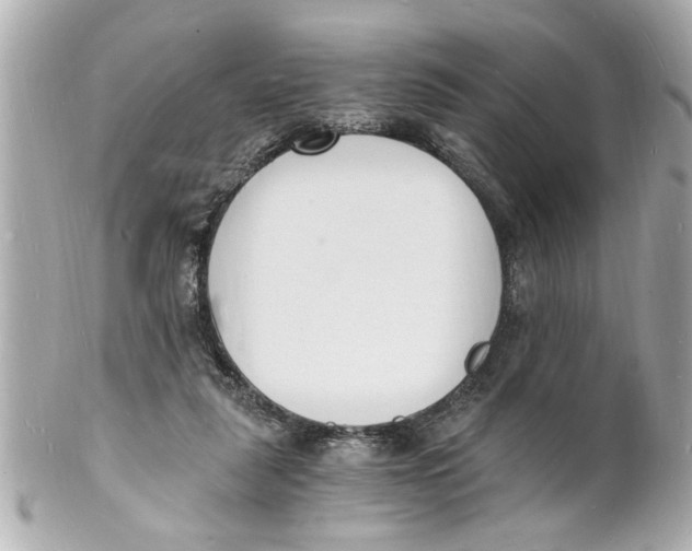 X0000101670259200807311503