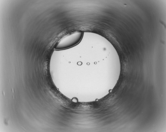 X0000101670260200807311503
