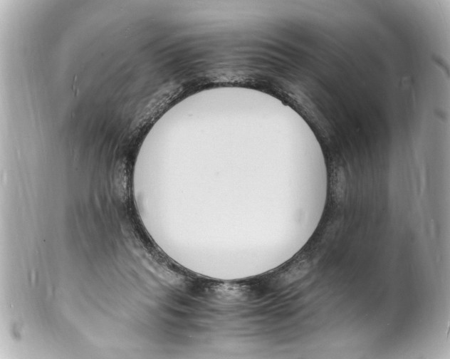 X0000101670261200807311503