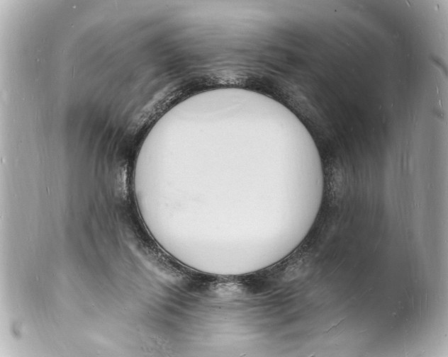 X0000101670262200807311503