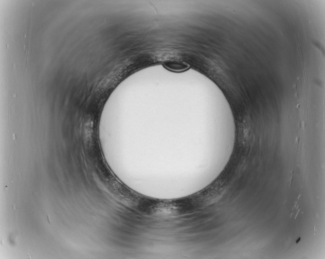 X0000101670263200807311503