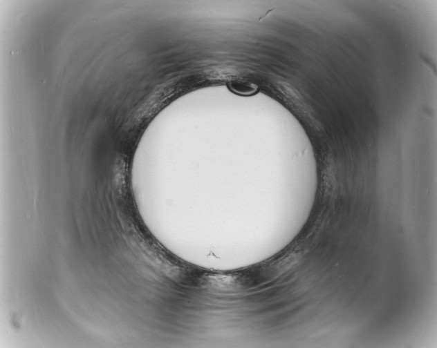 X0000101670265200807311503