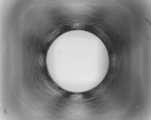 X0000101670266200807311503