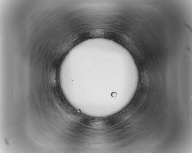 X0000101670267200807311503