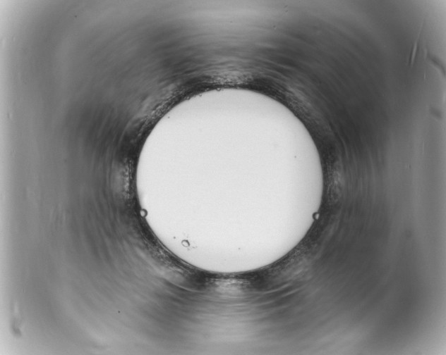 X0000101670268200807311503
