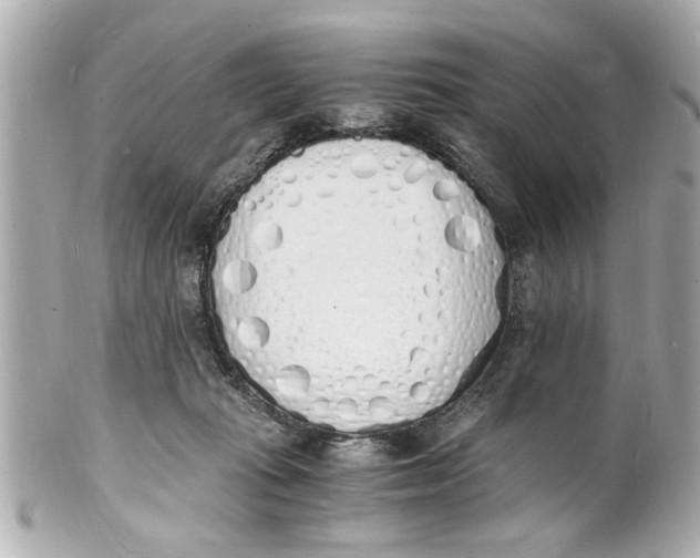 X0000101670269200807311504