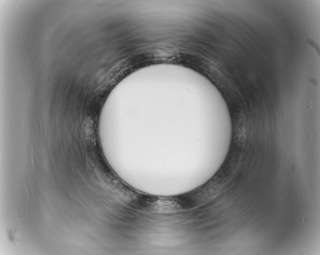 X0000101670270200807311504